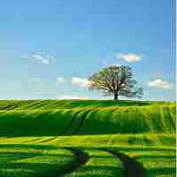 数‍据﻿挖‍掘﻿模﻿式​有​哪​些﻿